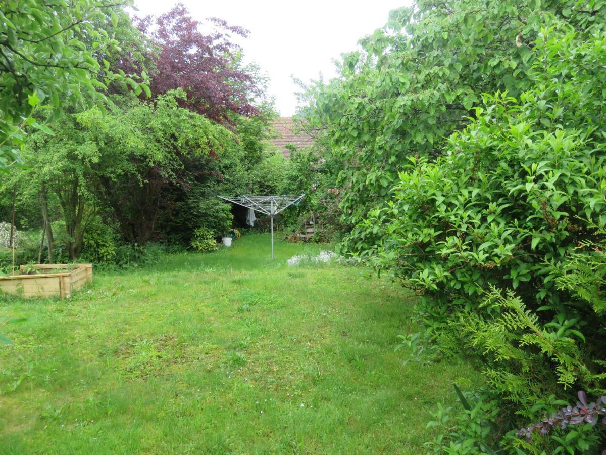 Ferienwohnung Au Nid Douillet Metzeral Exterior foto